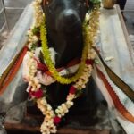 தென்னாங்கூர் மீனாட்சி சுந்தரேஸ்வரர் திருக்கோயிலில் பிரதோஷ வழிபாடு