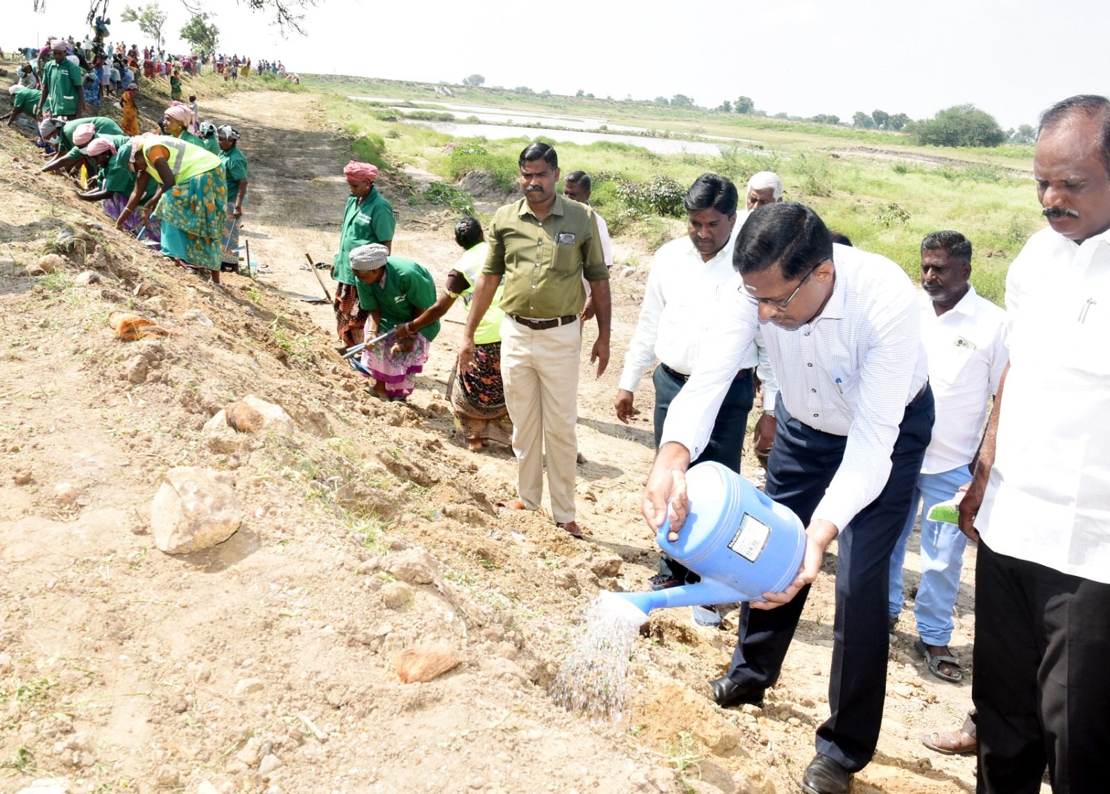 வாலாஜா நகரம் ஊராட்சி ஏரிக்கரையில் 2000 பனை விதைகள்