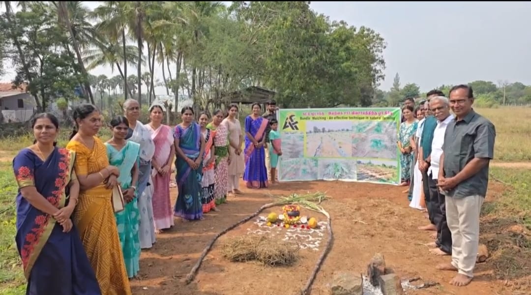 மண்வளத்தை பாதுகாத்து 2.5 சதவீதம் உயர்த்தும் காட்டும் மூடாக்கு நவீன இயற்கை முறை வேளாண்மை