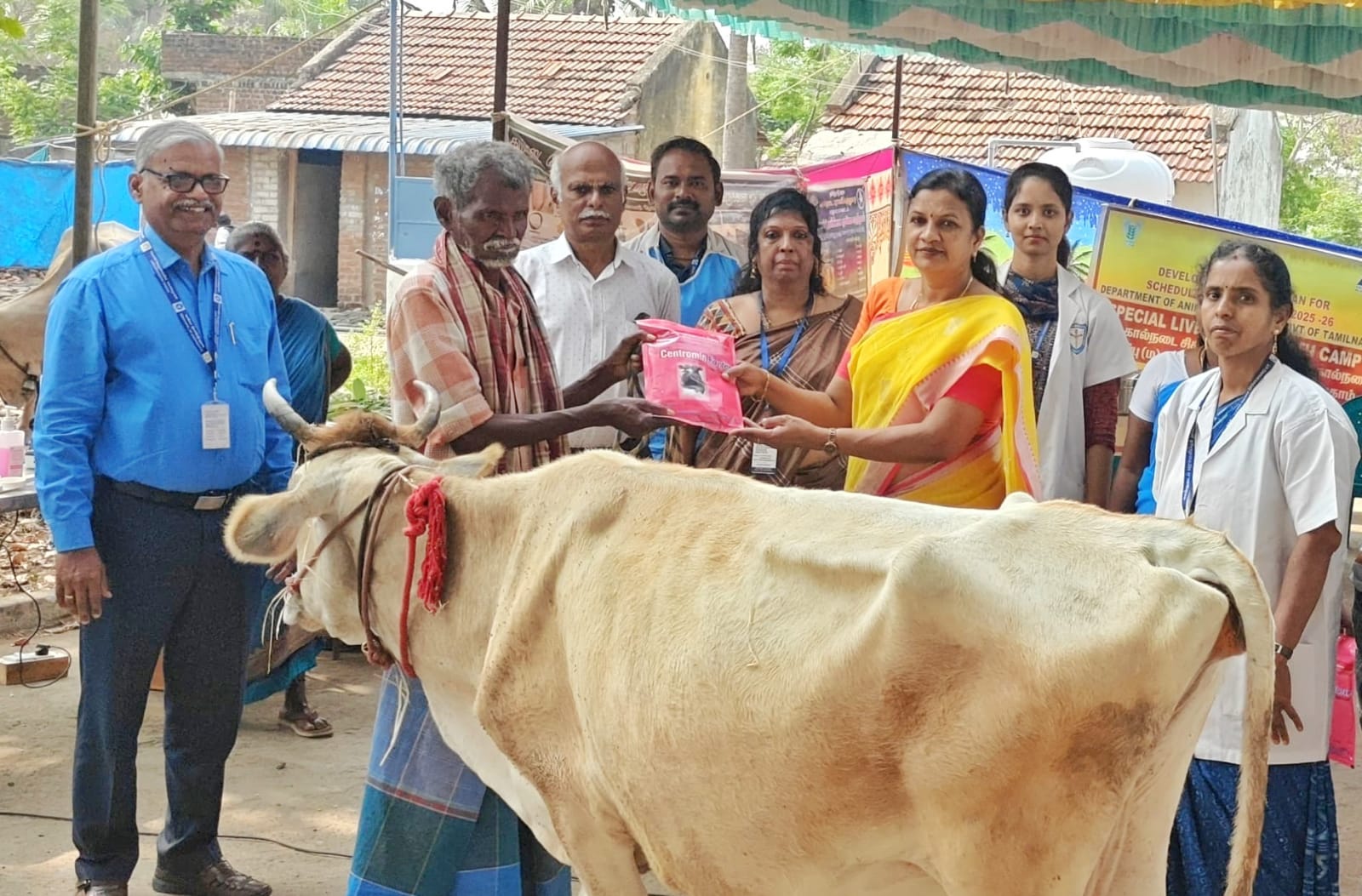 மதுரை அருகே சிறப்பு கால்நடை சிகிச்சை முகாம்