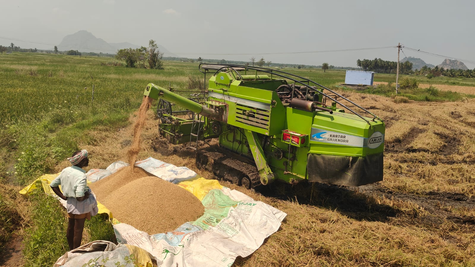 ஆயக்குடியில் நெல் கொள்முதல் நிலையம் இல்லாததால் விவசாயிகள் கடும் வேதனை