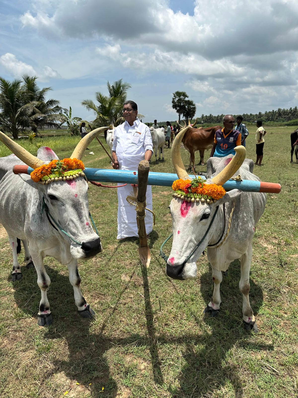 மாவடுகுறிச்சியில் பொன்னேர்பூட்டும் நிகழ்ச்சி