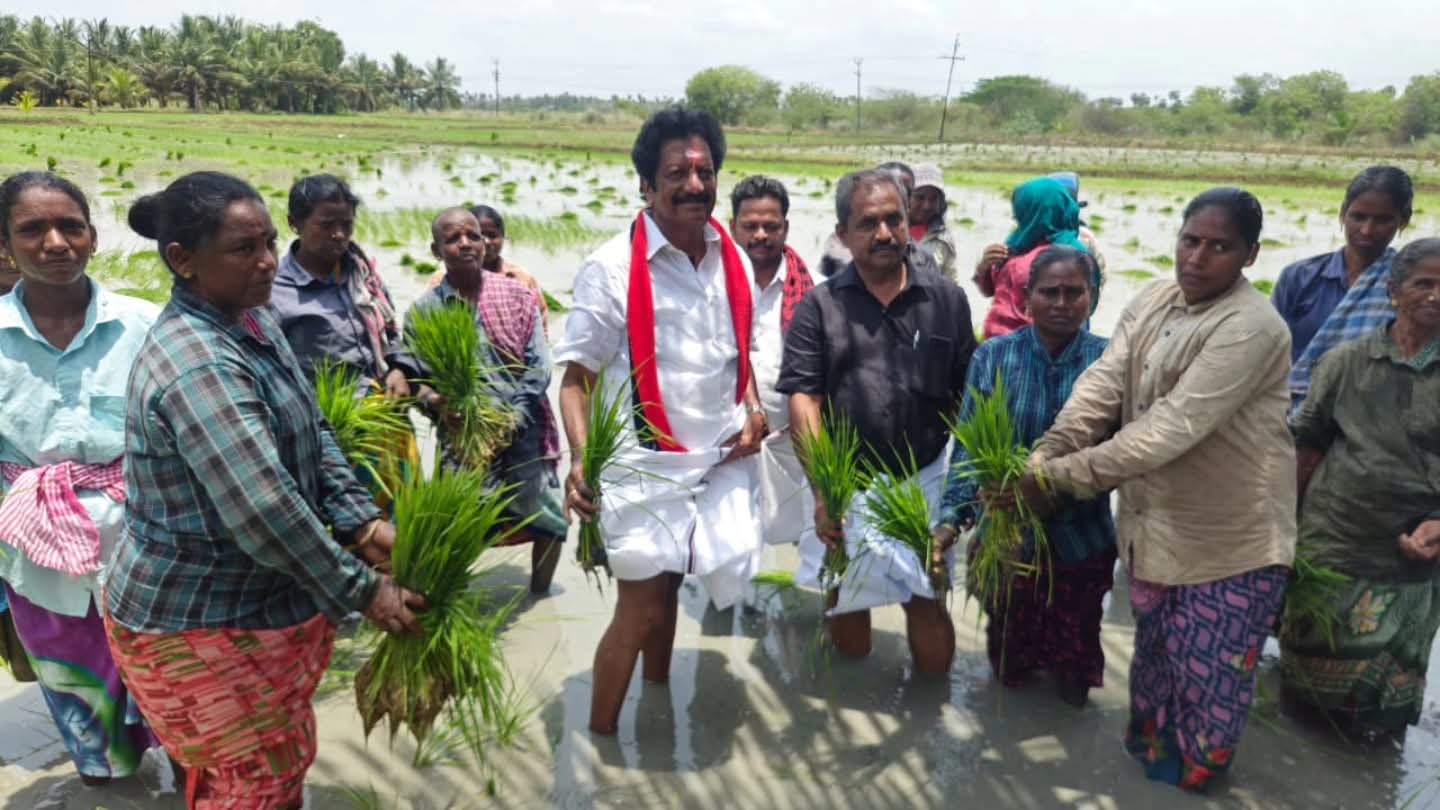 நடவு வயலில் இறங்கி வாக்கு சேகரித்த திமுக வேட்பாளர்