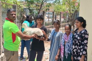 கழிவுநீர் கால்வாயில் விழுந்த ஆடு  காப்பாற்றிய தீயணைப்பு துறையினர்