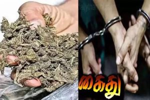 திருவெறும்பூர் அருகே கஞ்சா விற்ற பெண் கைது.