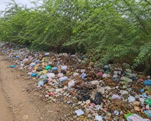 குப்பை தேக்கம்  மர்ம காய்ச்சல் பரவும் அபாயம் – பொதுமக்கள் அச்சம்