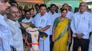 தமிழகத்தில் சட்டம் ஒழுங்கு மற்றும் பெண்களுக்கு பாதுகாப்பு இல்லை திருச்செந்தூரில்-அனிதா ராதாகிருஷ்ணன் பேட்டி.
