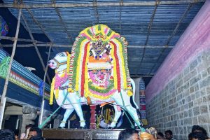 திருப்புகலூர்அக்னீஸ்வரர் கோவில் வைகாசி பிரமோற்சவ விழா-