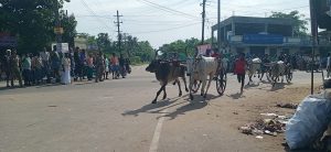 பேராவூரணி அருகே மாட்டு வண்டி குதிரை வண்டி பந்தயம்