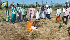பனங்குடியில் கர்நாடக முதல்வர் டி.கே.சிவக்குமார் உருவபொம்மை எரிப்பு –  விவசாயிகள் கண்டனம் தெரிவித்து போராட்டம்