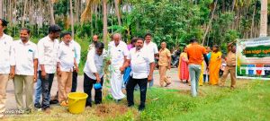 பாப்பிரெட்டிப்பட்டி தாலுகா பேரூராட்சிகளில் பகுதியில் உலக சுற்றுச்சூழல் தினவிழா