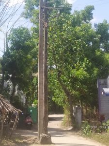 டைம்ஸ் ஆப் தமிழ்நாடு செய்தி எதிரொலி புதிய மின்கம்பம் அமைக்கபட்து