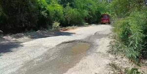 கோட்டப்பட்டி–சிட்டிலிங் சாலை பழுது: மலைவாழ் பழங்குடியின மக்களின் வாழ்வாதாரம் கேள்விக்குறி-தமிழக அரசு விரைந்து நடவடிக்கை எடுக்க பொதுமக்கள் கோரிக்கை