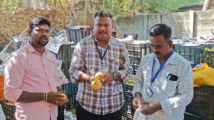 காரைக்காலில்  உணவு பாதுகாப்புத் துறை அதிகாரிகள் தீவிர ஆய்வு