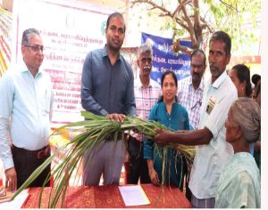 கடலூரில் கால்நடை  நோய் தடுப்பூசி முகாம் தொடக்கம்