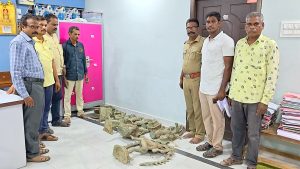 மன்னார்குடி அருகே நள்ளிரவில் பள்ளம் தோண்டிய போது அடுத்தடுத்து 9 சிலைகள்