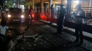 திடீர் மழையால் சாய்ந்த மரங்கள் அகற்றம் – மாமன்ற உறுப்பினர் புகழேந்தியின் விரைவு நடவடிக்கைக்கு பொதுமக்கள் பாராட்டு