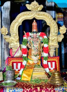 திருக்கண்ணபுரம் சவுரிராஜ பெருமாள் கோவிலில் அமாவாசை வழிபாடு