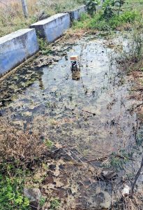 ஊதியூர் அருகே குடிநீர்க் குழாய் உடைப்பால் சாலையில் வழிந்தோடும் குடிநீர்