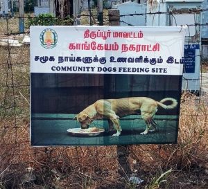 தெருநாய்களுக்கு உணவு வழங்குவதற்கு தனி இடம்: காங்கயம் நகராட்சி நிர்வாகம் அதிரடி.!