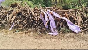 திட்டச்சேரி அருகே நிலத்தில் வைக்கப்பட்ட பெயர் பலகை சேதம் -2 பேர் மீது போலீசார் வழக்குப்பதிவு