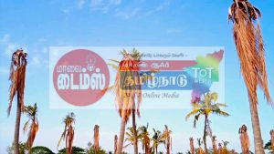 கடும் வெயிலால் கருகும் தென்னை மரங்கள் – திருவாரூரில் தேங்காய் மகசூல் கடும் சரிவு; விலை கிடுகிடு உயர்வு