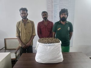 கும்மிடிப்பூண்டி சோதனைச் சாவடியில் 6 கிலோ கஞ்சா பறிமுதல்