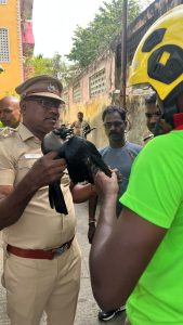 காற்றாடி நூலில் சிக்கித் தவித்த காகம்-   உயிருடன் மீட்ட தீயணைப்பு துறையினர்