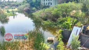 திருவாரூர் நகரின் மையப்பகுதியில் 30 ஆயிரம் சதுர அடி பரப்பளவில் கழிவுநீர் தேக்கம்!-நிரந்தரத் தீர்வு காண பொதுமக்கள் கோரிக்கை