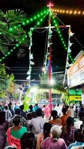 தூத்துக்குடி- அன்னை வேளாங்கண்ணி புனித ஆரோக்கிய மாதா கெபியின் 44ஆம் ஆண்டு திருவிழா