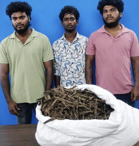 ஆந்திராவில் இருந்து எட்டு கிலோ கஞ்சாவை கடத்தி வந்த சரித்திர பதிவேடு குற்றவாளி தனது சகோதரருடன் மூன்று பேர் கைது