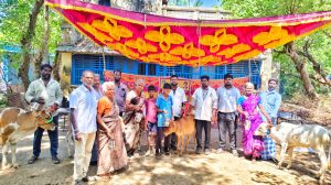 பனங்குடி ஊராட்சியில் கால்நடைகளுக்கான -விழிப்புணர்வு முகாம்