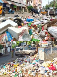 மதுரை மாநகராட்சி அன்சாரிநகரில் குப்பைகள் சரியான நேரத்துக்கு அள்ளப்படாததால் சுகாதார சீர்கேடு நிலவுகிறது