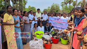 தமிழக நீர்நிலைகளில் பசுமை விதைக்கும் முயற்சி: ஒரு கோடி பனை விதைகள் நடும் நெடும் பணி