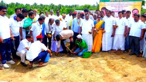 மன்னார்குடியில் 11 கி.மீ. தொலைவுக்கு பனை விதைகள் நடும் பணி