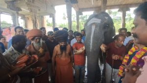 வைத்தீஸ்வரன் கோயில் வைத்தியநாதர் சுவாமி கோவிலுக்கு புதிய ஆண் யானை வருகை
