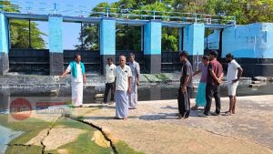 பாமணி ஆற்றில் கழிவுநீர் கலப்பதாக விவசாயிகள் புகார்