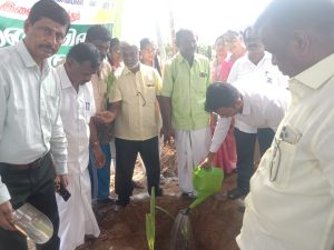 போடிநாயக்கனூர் அருகே தேசிய நெடுஞ்சாலையில் பனை விதைகள் நடவு