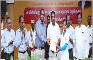கடலூரில் தேர்வு செய்யப்பட்ட செவிலியர்களுக்கு பணி நியமன ஆணை – அமைச்சர் ப.ராஜ்குமார் வழங்கினார்
