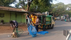 மேட்டூரில் தெருநாய்களுக்கு கருத்தடை மற்றும் ரேபிஸ் தடுப்பூசி செலுத்தும் பணி!